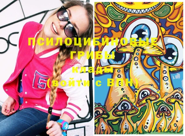 ешки Бронницы