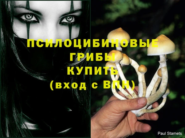 ешки Бронницы