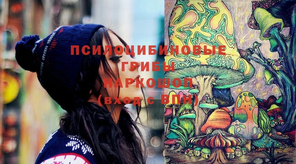 ешки Бронницы