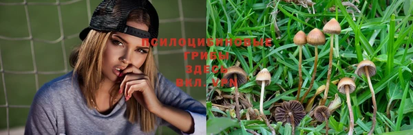 дмт Бугульма