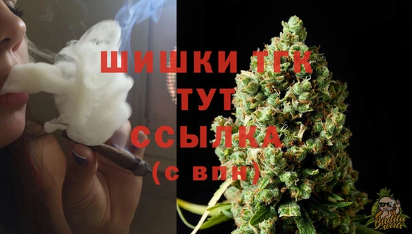 тгк Беломорск