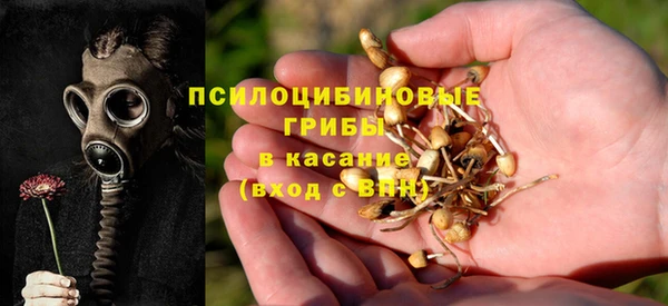 дмт Бугульма