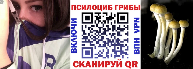 Псилоцибиновые грибы ЛСД Карабаш